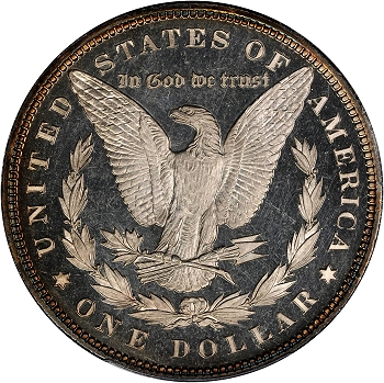 1895 Morgan Silver Dollar Reverse