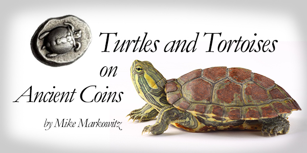 JFK Half Dollar US Colorized Coin HORSFIELD TURTLE Reptiles RUSSIAN TORTOISE 