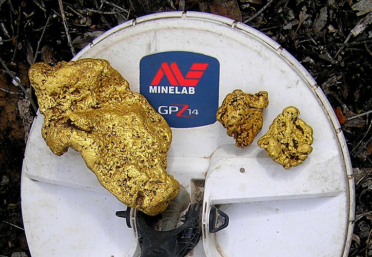 Gold nuggets on Minelab metal detector coil. Image courtesy Minelab