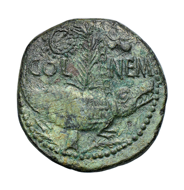 Bronze Dupondius - Augustus and Agrippa with Crocodile Reverse