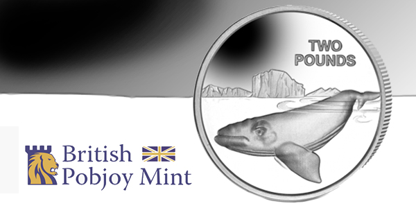 British Pobjoy Mint - Southern Right Whale