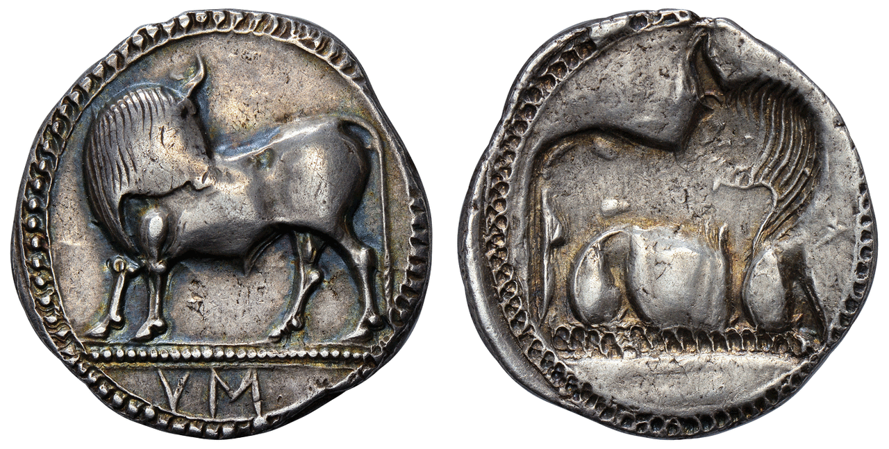 GREEK. LUCANIA. Sybaris. Struck circa 550-510 BCE. AR Stater. Images courtesy Atlas Numismatics