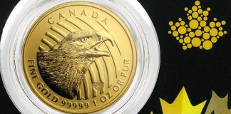 Golden Eagle Coin