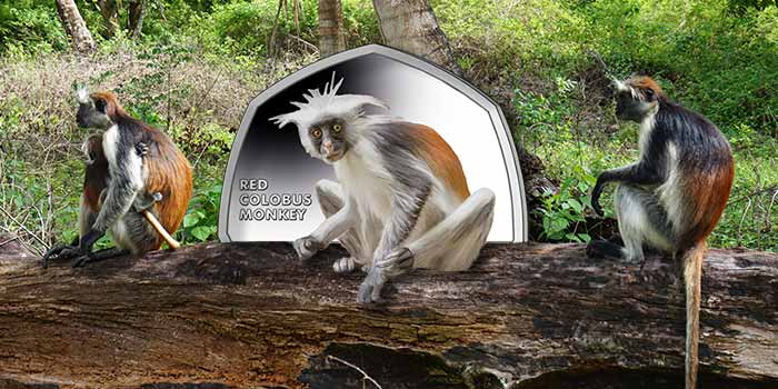 Red Colobus Monkey 50p coin Gibraltar Pobjoy Mint