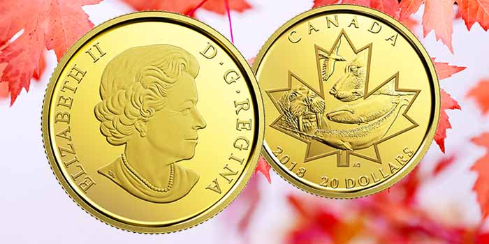 Canada 20 Dollars - Nunavut Gold