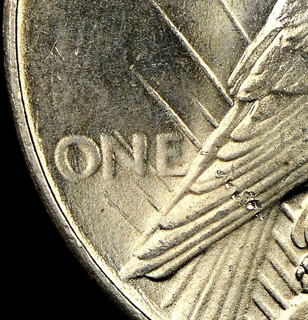 Feather detail on reverse of Genuine 1935 Peace Dollar. Image courtesy NGC