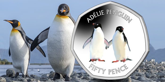 Adelie Penguin fifty p