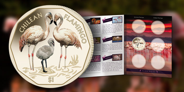 Chilean Flamingo - Pobjoy Mint $1