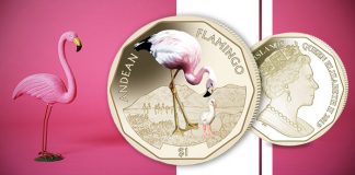 Andean Flamingo on fifth coin in 2019 British Virgin Island virenium series from Pobjoy Mint