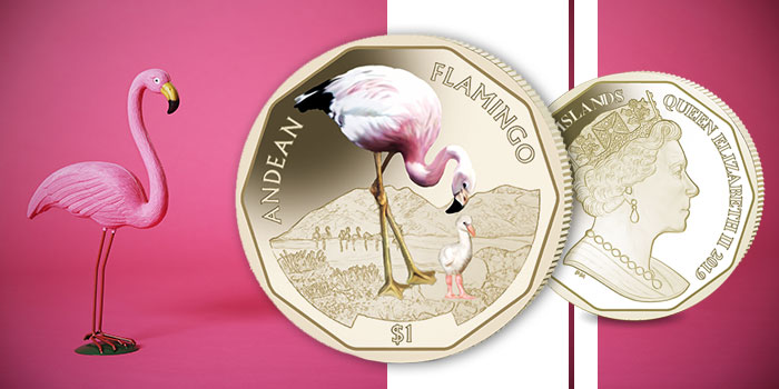 Pobjoy Mint - Andean Flamingo