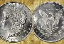 CoinWeek IQ: United States 1887-S Morgan Dollar