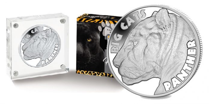 big cat coin crypto