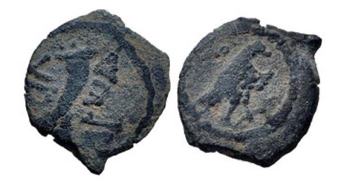 JUDAEA, Herodians. Herod I (the Great). 40-4 BCE. Æ Half Prutah