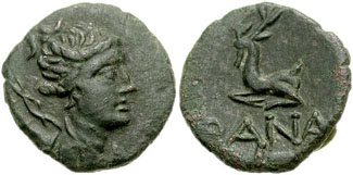 Figure 11: Cimmerian Bosporos, Phanagoria, AE 19