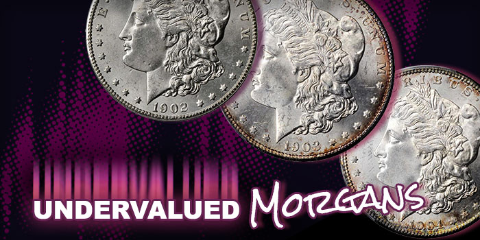 A Sampling of Undervalued Morgan Silver Dollars