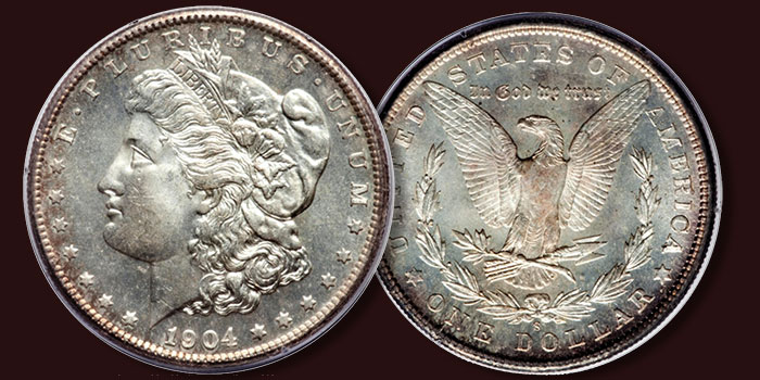 VAMs and Dimple Morgan Dollars Reflected in Month-Long Auction