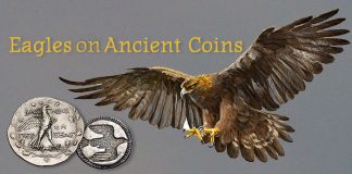 Eagles on Ancient Coins