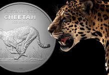 Royal Australian Mint Features Cheetah on Latest Australian Zoo Investment Coin