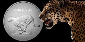 Royal Australian Mint Features Cheetah on Latest Australian Zoo Investment Coin