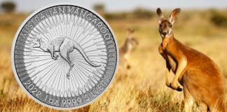 Perth Mint Coin Profiles - Australia 2022 Kangaroo 1oz Silver Bullion Coin