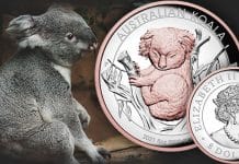 Perth Mint Coin Profiles - Australian Koala 2021 5oz Silver Proof High Relief Gilded Coin