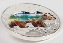 CIT Launches Into the Wild Series With Ultra-Deep Coin Featuring the Brown Bear