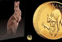 Perth Mint Issues 2022 5oz Gold Proof Australian Kangaroo Coin