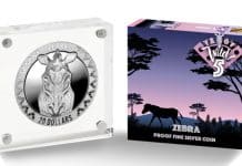 Final Silver Coin in Wild 5 Series Features the Zebra