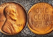 United States 1929 Lincoln Wheat Cent