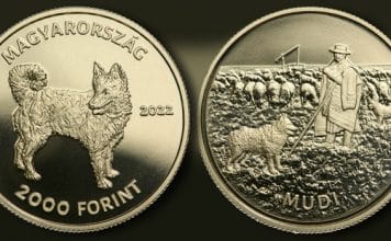 Hungarian Mudi Newest Member of Dog Breed Coin Series
