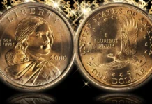 This is an image of the 2000-D Sacagawea Dollar.