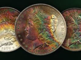 Waco Toned Morgan Dollar Collection Offered by David Lawrence