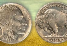United States 1915-S Buffalo Nickel