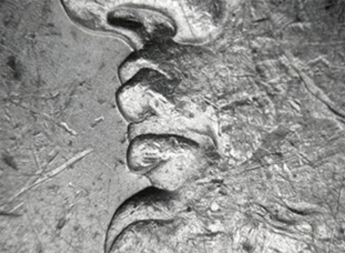 Close-up of an 1880-O VAM-4 "Hot Lips" Morgan Dollar. Image: NGC.