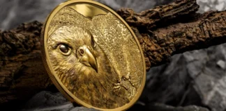 Mongolian gold falcon coin. Image: CIT.