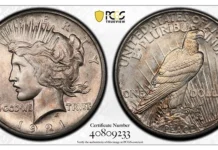 This is a satin-finish 1921 Peace Dollar. Courtesy of PCGS TrueView.