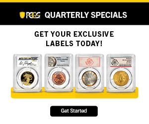 Professional Coin Grading Service