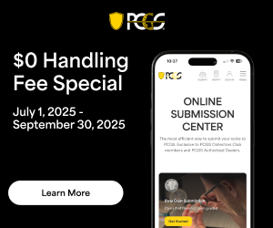 Professional Coin Grading Service