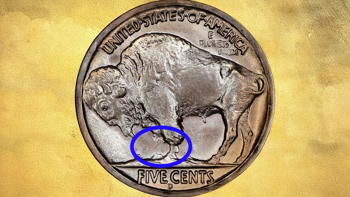 This is an image of a 1937-D Three-Legged Buffalo Nickel, with an overlay that highlights the missing leg.