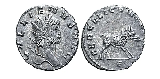 Zoo Coinage of Gallienus - Boar / Hercules