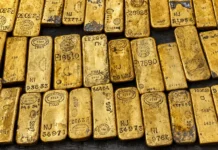 Kilo Gold Bars discovered in Belgian Celler
