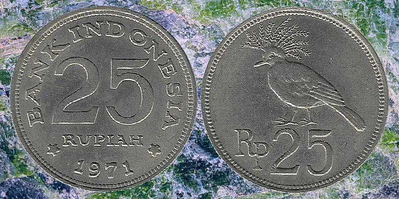 Regular issued Indonesia 1971 25 Rupiah