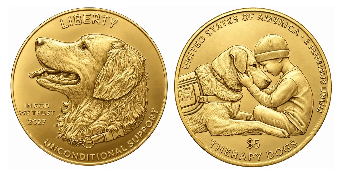 Coinweek conceptual Illustration based on US Mint Line Art for the Gold Commemorative