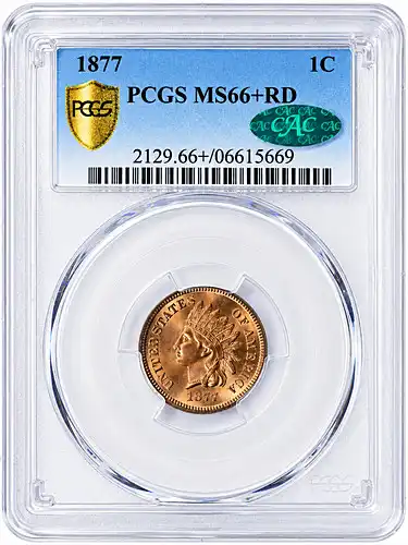 1877 Indian Cent PCGS MS-66+ RD (CAC Green)From the Stewart Blay Collection of Indian Cents